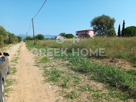 Αγροτεμάχια 1.639τ.μ. για πώληση-Αρτεμίσιο » Ασμήνιο