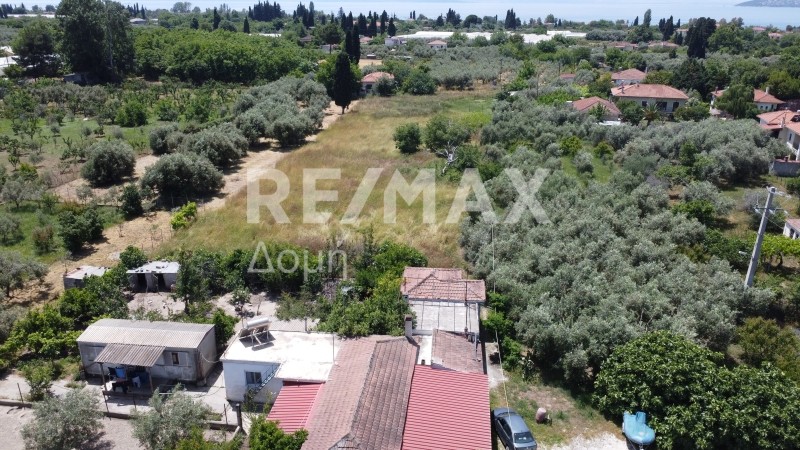 Αγροτεμάχια 4.058 τ.μ. πρός πώληση, Μαγνησία, Αγριά