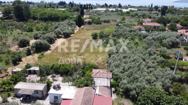 Αγροτεμάχια 4.058 τ.μ. πρός πώληση, Μαγνησία, Αγριά