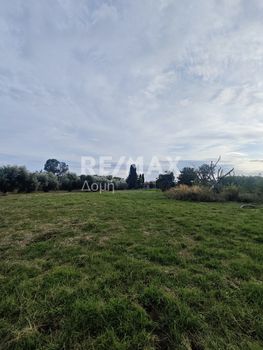 Αγροτεμάχια 4.058τ.μ. για πώληση-Αγριά » Κέντρο
