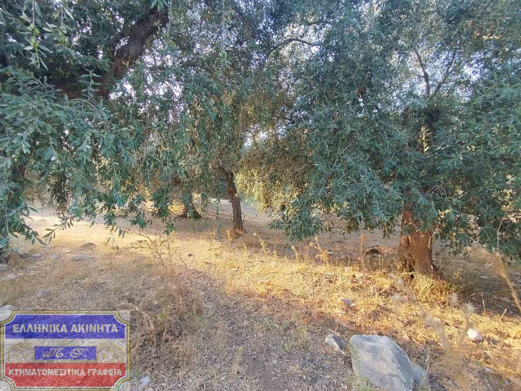 Αγροτεμάχια 2.000 τ.μ. για πώληση, Ν. Καβάλας, Θάσος