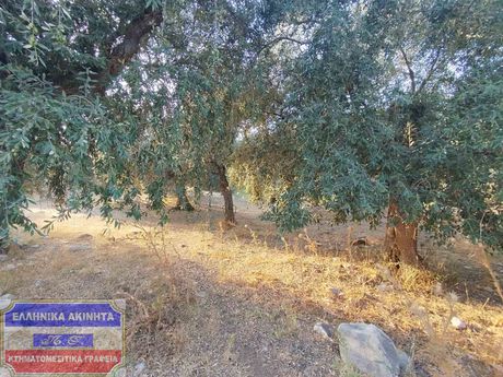 Αγροτεμάχια 2.000τ.μ. για πώληση-Θάσος