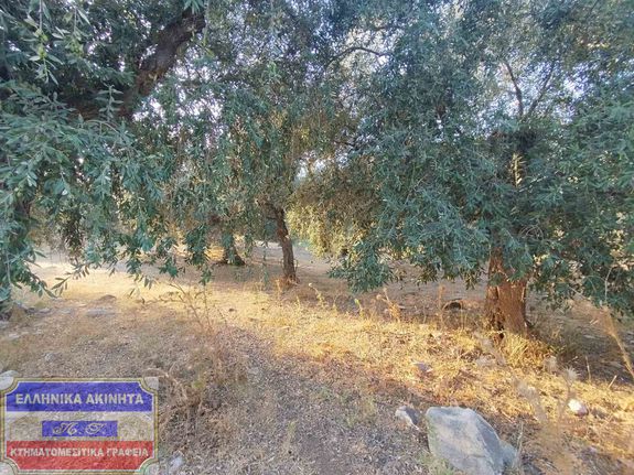 Αγροτεμάχια 2.000 τ.μ. για πώληση, Ν. Καβάλας, Θάσος