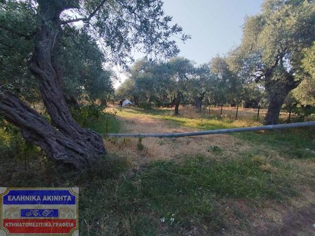 Αγροτεμάχια 1.000τ.μ. για πώληση-Θάσος
