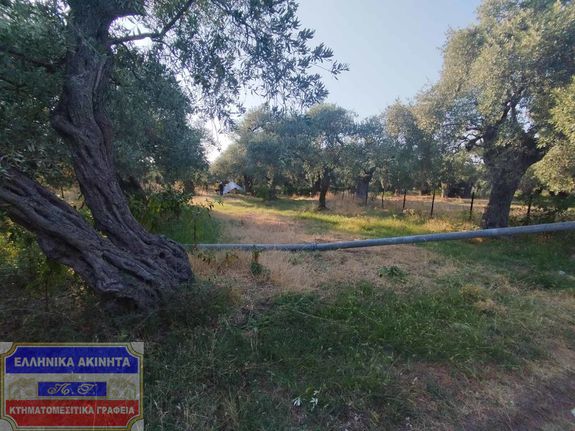 Αγροτεμάχια 1.000 τ.μ. για πώληση, Ν. Καβάλας, Θάσος