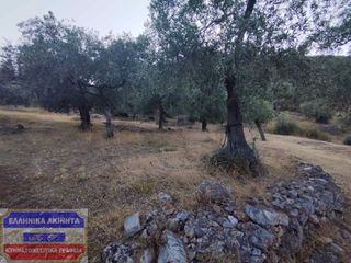 Αγροτεμάχια 2.000 τ.μ. για πώληση, Ν. Καβάλας, Θάσος-thumb-1