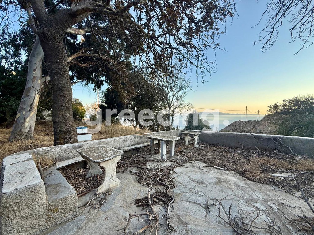 Οικόπεδο 6.456 τ.μ. προς πώληση, Τήνος