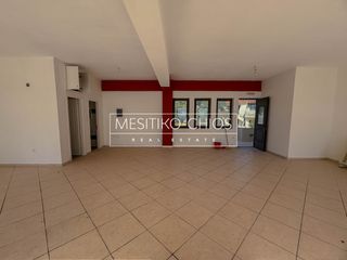 Κατάστημα 85,53 τ.μ. για πώληση, Ν. Χίου, Χίος-thumb-10