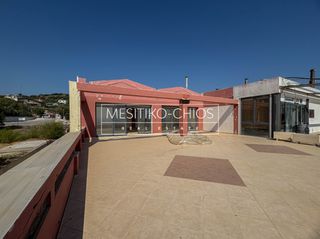 Κατάστημα 85,53 τ.μ. για πώληση, Ν. Χίου, Χίος-thumb-23