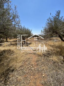 Land plot 6.500sqm for sale-Vouprasia » Analipsi