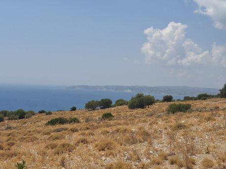 Αγροτεμάχια 14.000τ.μ. για πώληση-Κεφαλονιά » Ελειός - πρόννοι