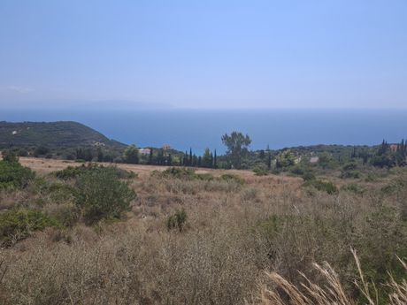 Αγροτεμάχια 7.638τ.μ. για πώληση-Κεφαλονιά » Ελειός - πρόννοι