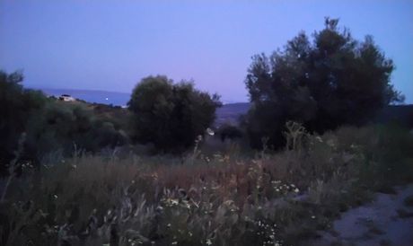 Οικόπεδο 1.200 τ.μ. για πώληση