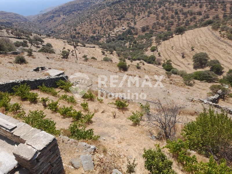 Αγροτεμάχια 6.200 τ.μ. προς πώληση, Άγιος Συμεών Κέας
