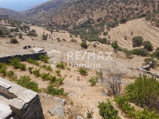 Αγροτεμάχια 6.200 τ.μ. για πώληση