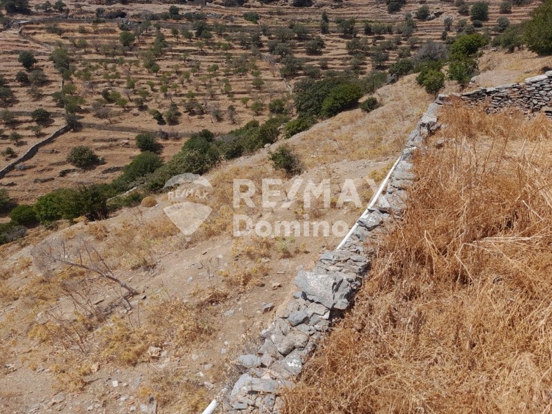 Αγροτεμάχια 6.200 τ.μ. προς πώληση, Άγιος Συμεών Κέας