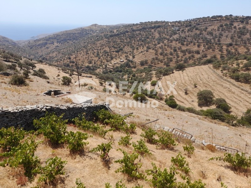 Αγροτεμάχια 6.200 τ.μ. προς πώληση, Άγιος Συμεών Κέας