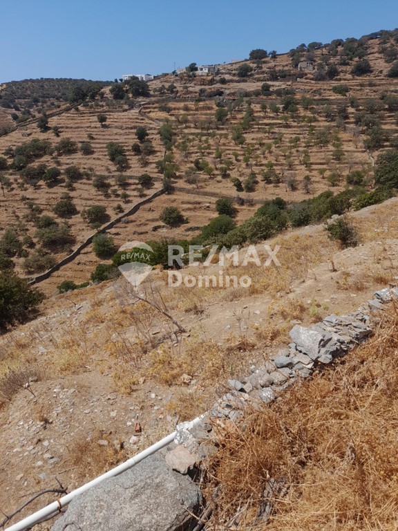 Αγροτεμάχια 6.200 τ.μ. προς πώληση, Άγιος Συμεών Κέας