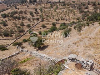 Αγροτεμάχια 8.700 τ.μ. για πώληση