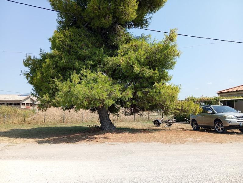 Οικόπεδο 440 τ.μ. προς πώληση, Νέος Πύργος Ωρεών