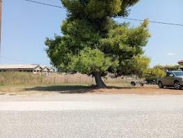 Οικόπεδο 440 τ.μ. για πώληση
