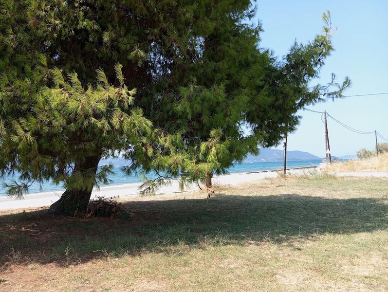 Οικόπεδο 440 τ.μ. προς πώληση, Νέος Πύργος Ωρεών