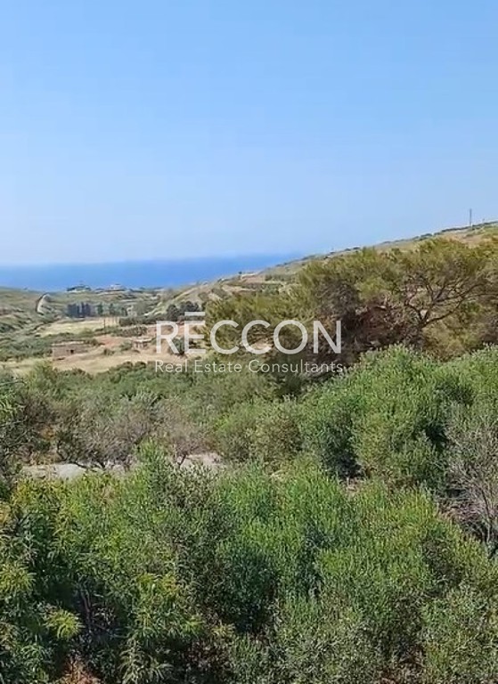 Οικόπεδο 4.000 τ.μ. προς πώληση, Ακρωτήρι Νάξου
