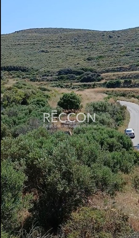Οικόπεδο 4.000 τ.μ. προς πώληση, Ακρωτήρι Νάξου
