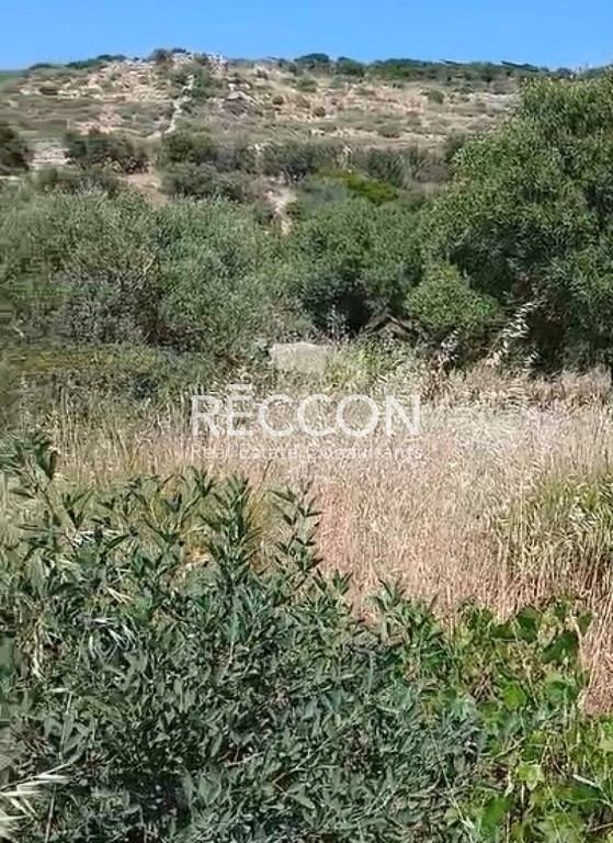 Οικόπεδο 4.000 τ.μ. προς πώληση, Ακρωτήρι Νάξου