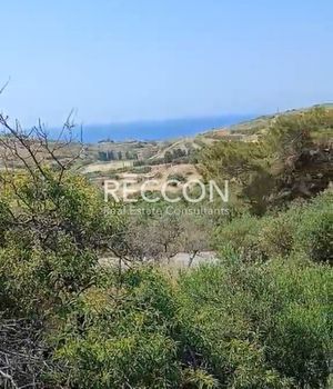 Οικόπεδο 4.000 τ.μ. προς πώληση