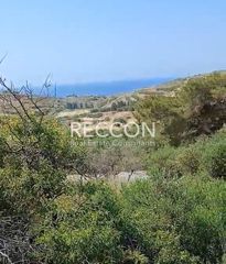 Οικόπεδο 4.000 τ.μ. για πώληση
