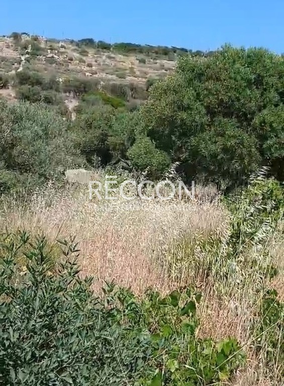 Οικόπεδο 4.000 τ.μ. προς πώληση, Ακρωτήρι Νάξου