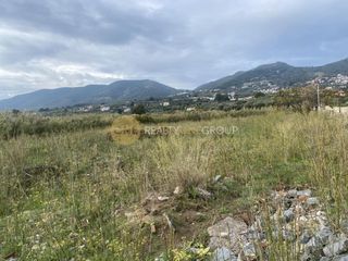 Οικόπεδο 8.100 τ.μ. για πώληση, Ν. Λέσβου, Λέσβος - Μυτιλήνη-thumb-11