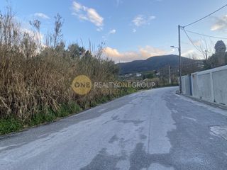Οικόπεδο 8.100 τ.μ. για πώληση, Ν. Λέσβου, Λέσβος - Μυτιλήνη-thumb-6