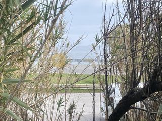 Οικόπεδο 8.100 τ.μ. για πώληση, Ν. Λέσβου, Λέσβος - Μυτιλήνη-thumb-13