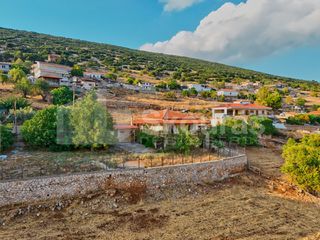 Μονοκατοικία 83 τ.μ. για πώληση, Αργολίδα, Μιδέα-thumb-23