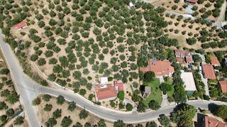 Μονοκατοικία 79 τ.μ. για πώληση, Μεσσηνία, Αριστομένης-thumb-19