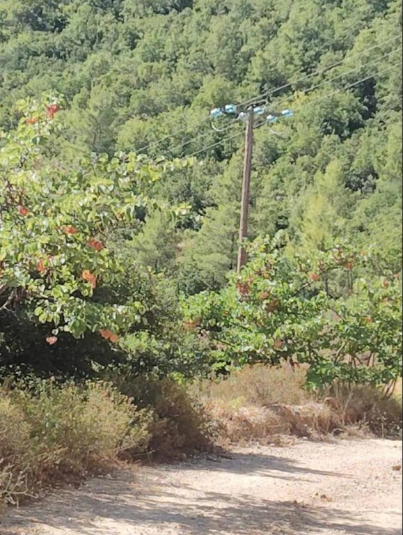 Αγροτεμάχια 7.000 τ.μ. πρός πώληση, Κορινθία, Ξυλόκαστρο