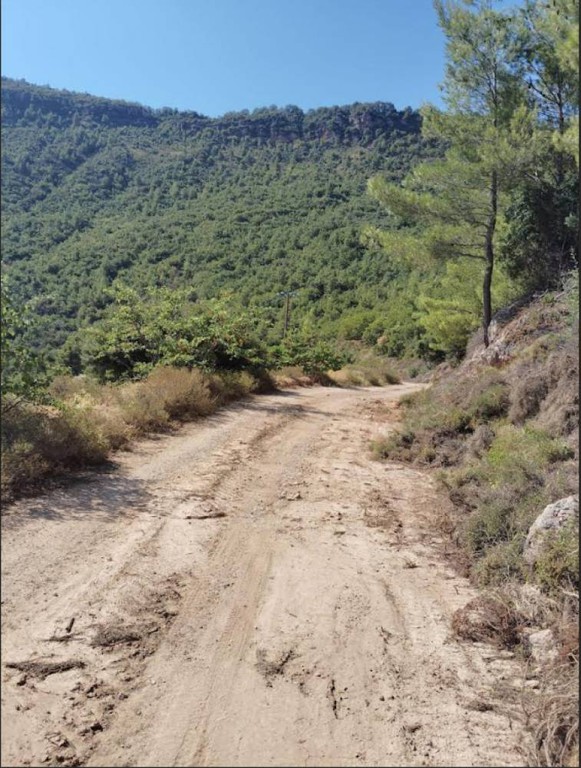 Αγροτεμάχια 7.000 τ.μ. πρός πώληση, Κορινθία, Ξυλόκαστρο