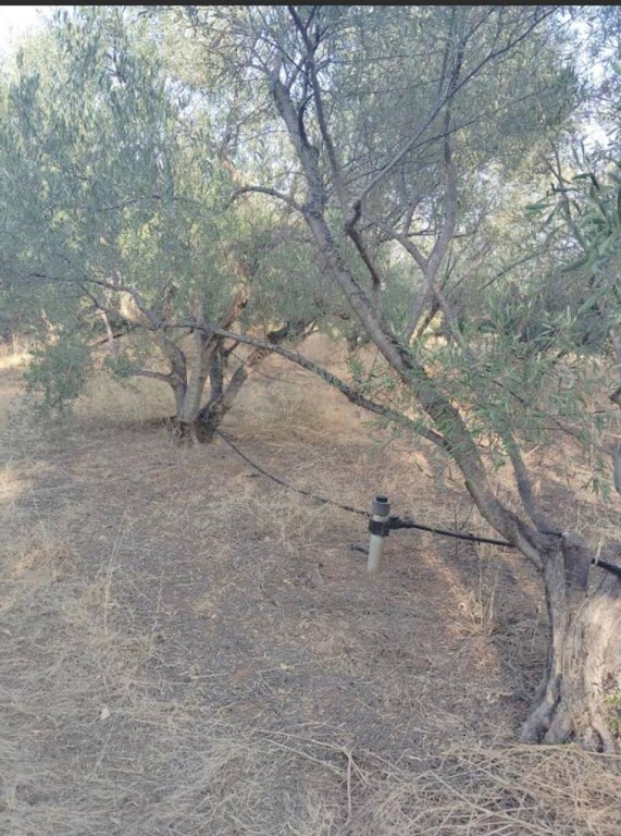 Αγροτεμάχια 620 τ.μ. πρός πώληση, Κορινθία, Σικυώνα