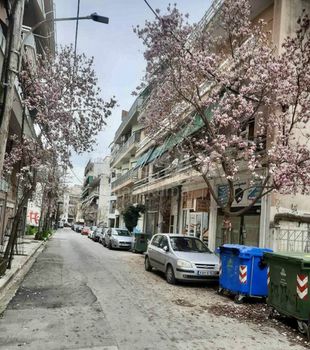 Studio / γκαρσονιέρα 25τ.μ. για ενοικίαση-Λάρισα » Έξι δρόμοι