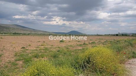 Αγροτεμάχια 64.000 τ.μ. για πώληση