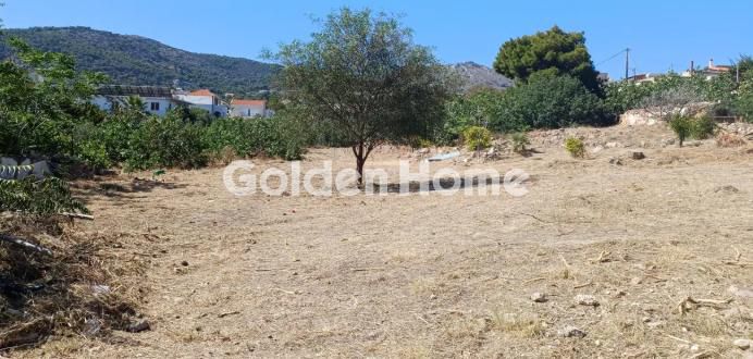 Land plot 4.500 sqm for sale, Argosaronikos Islands, Aegina