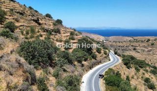 Αγροτεμάχια 8.000 τ.μ. για πώληση