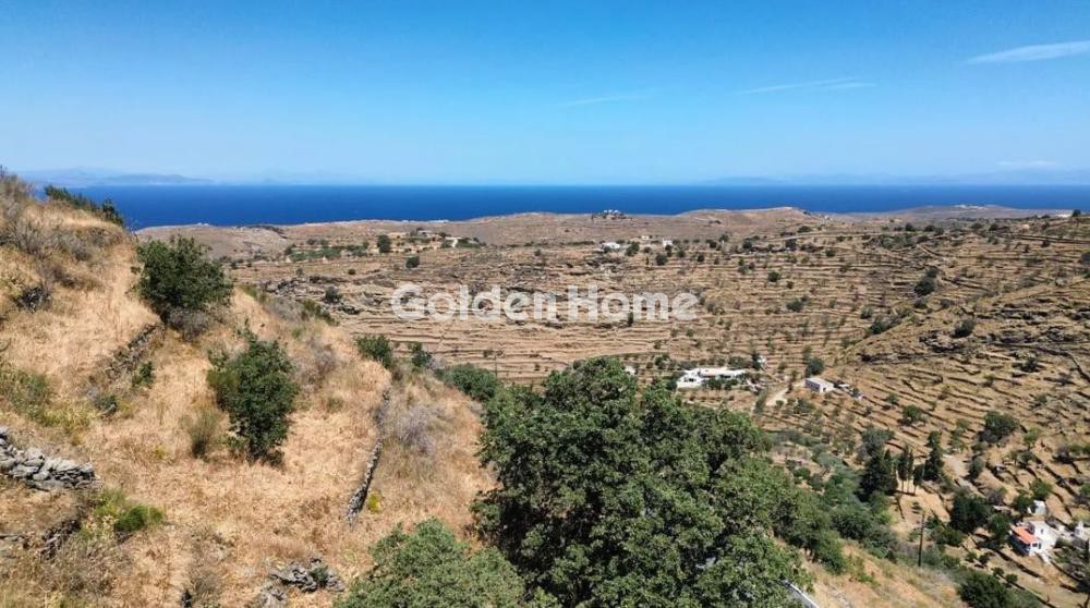 Αγροτεμάχια 8.000 τ.μ. προς πώληση, Ιουλίδα