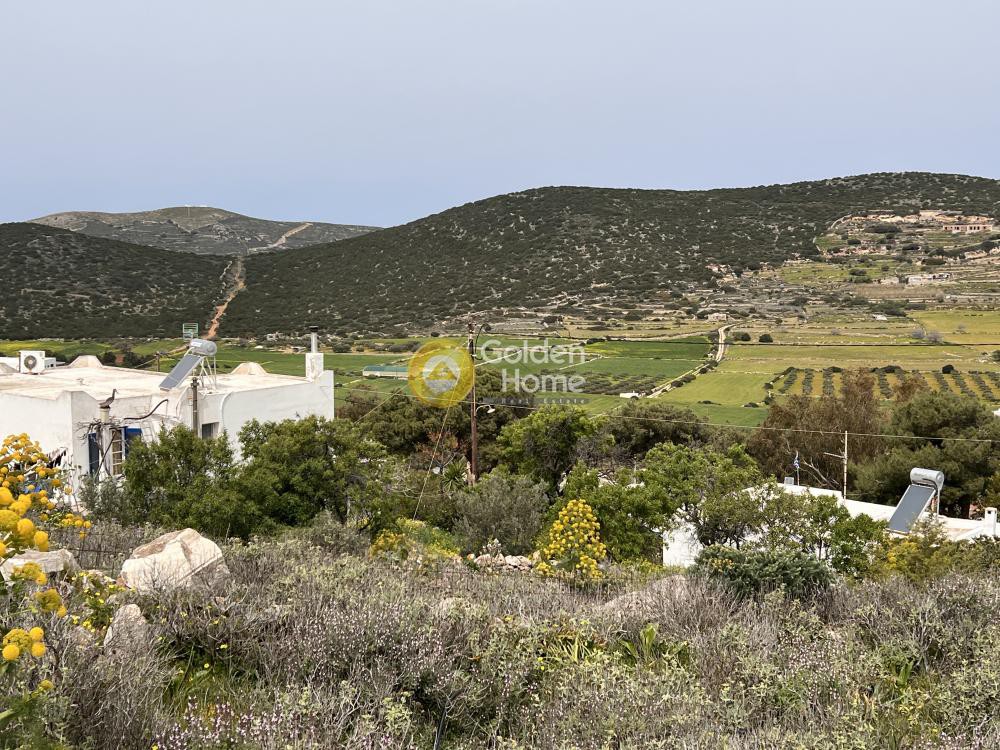 Αγροτεμάχια 5.761 τ.μ. προς πώληση, Μαράθι Πάρου