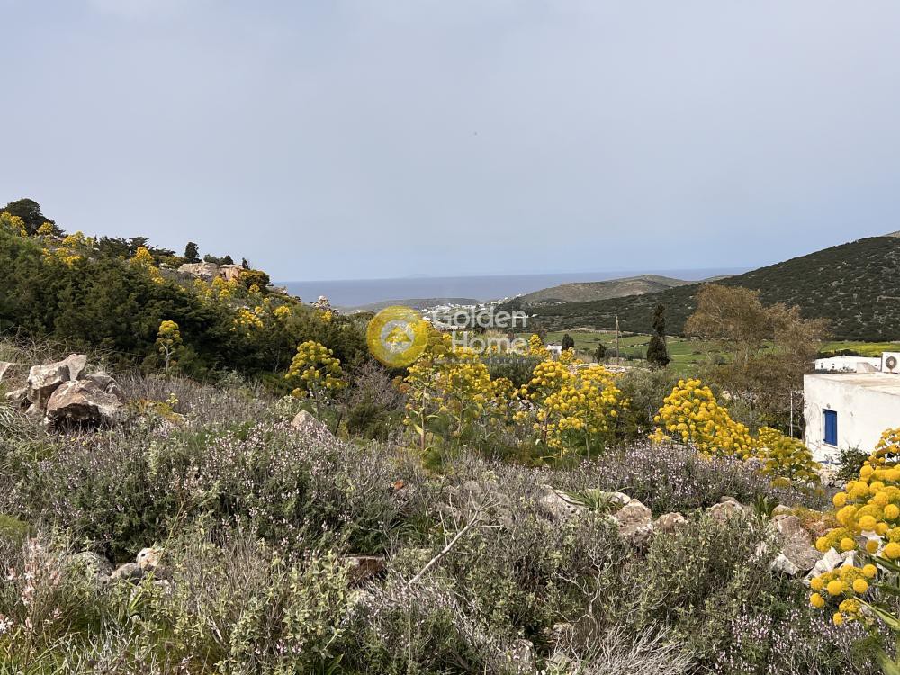 Αγροτεμάχια 5.761 τ.μ. προς πώληση, Μαράθι Πάρου