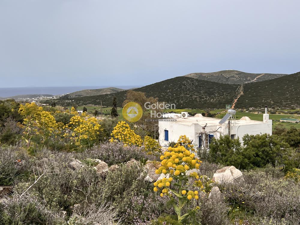 Αγροτεμάχια 5.761 τ.μ. προς πώληση, Μαράθι Πάρου