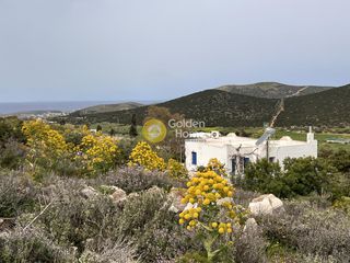 Αγροτεμάχια 5.761 τ.μ. για πώληση