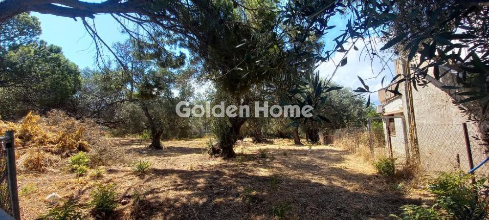 Οικόπεδο 562 τ.μ. προς πώληση, Κέντρο Χανίων